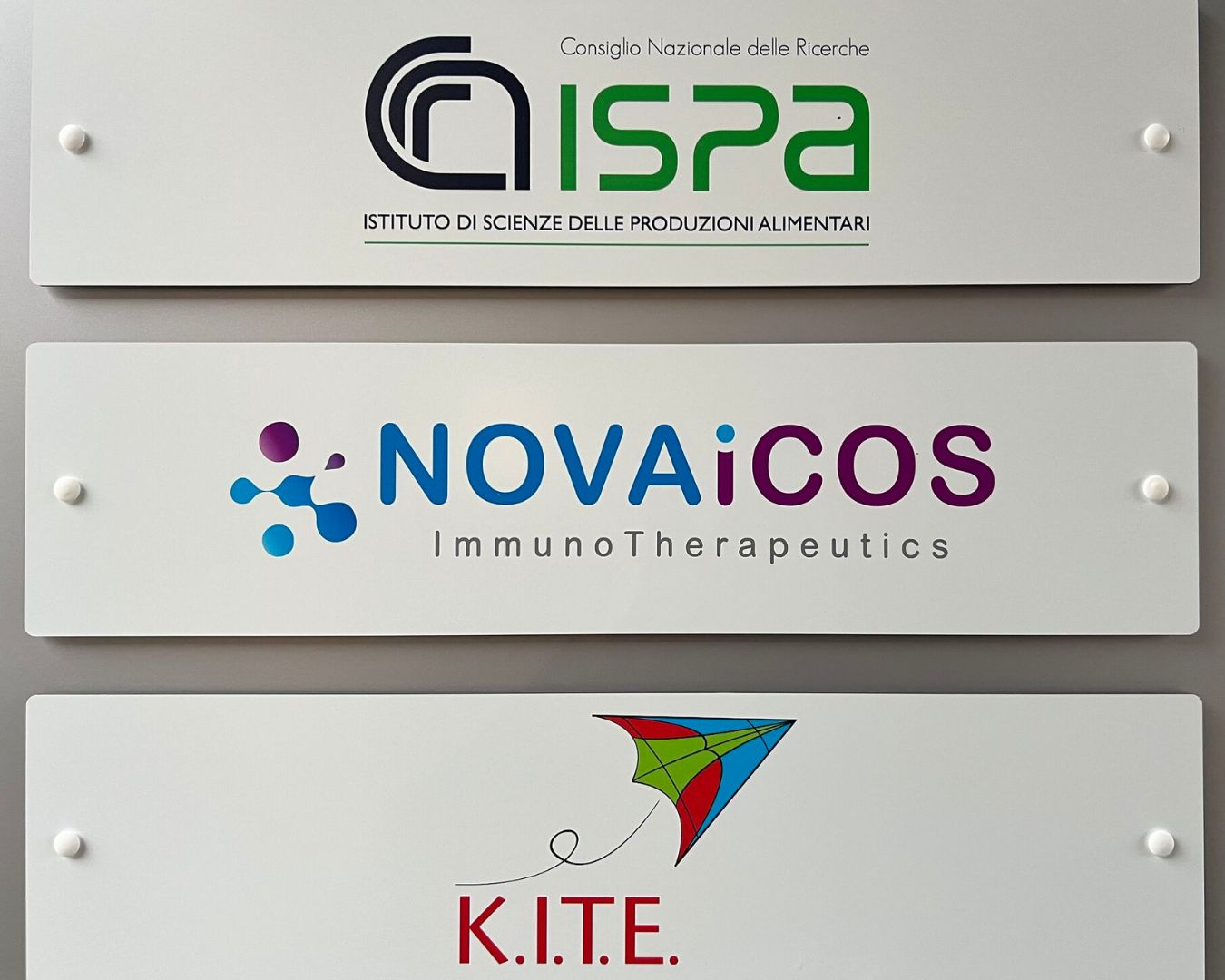 Oncology patent recognized in the United States